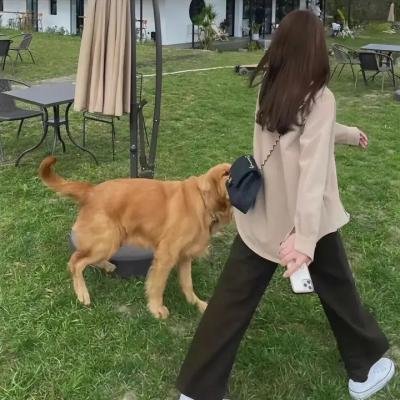父亲的胸怀